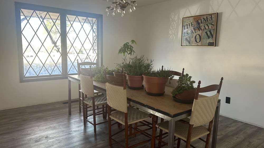 Dining room with plants and diamond windows