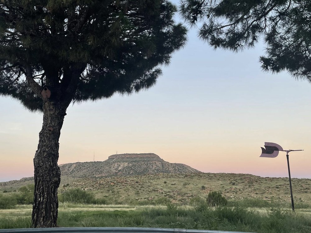 Mesa at dusk with tree and pink sky